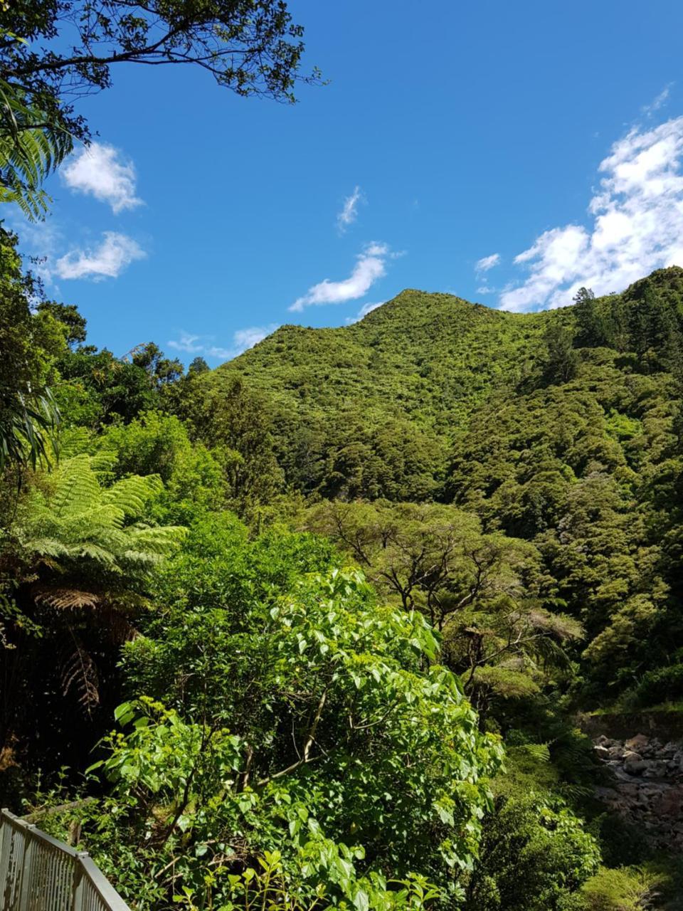 Riverside Accommodation Karangahake ภายนอก รูปภาพ